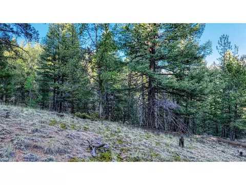 364 Blue Spruce Rd, Divide, CO 80814 photo 14
