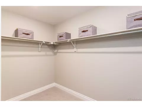 16349 Askins Loop, Parker, CO 80134 photo 21