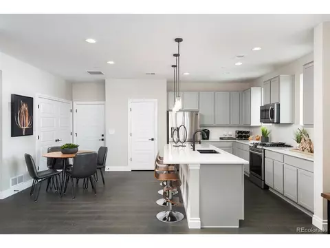 16349 Askins Loop, Parker, CO 80134 photo 8