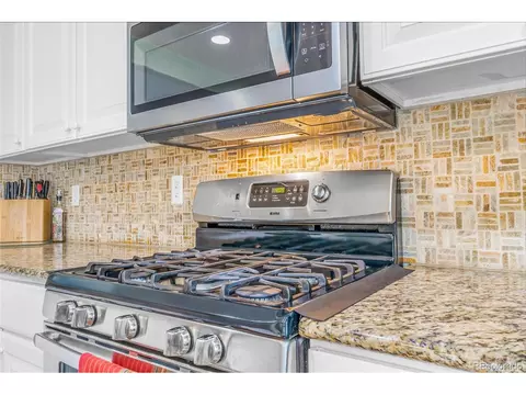 5320 E 100th Dr, Thornton, CO 80229 photo 10