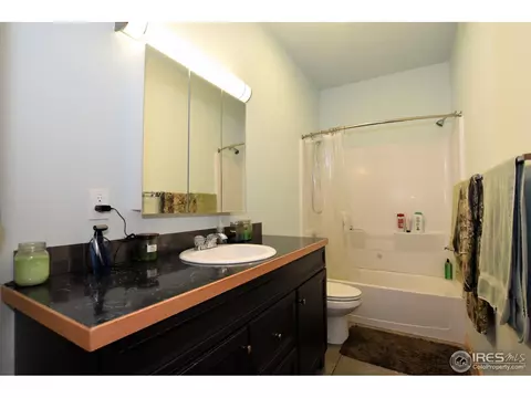 151 Chipmunk Pl, Drake, CO 80515 photo 12