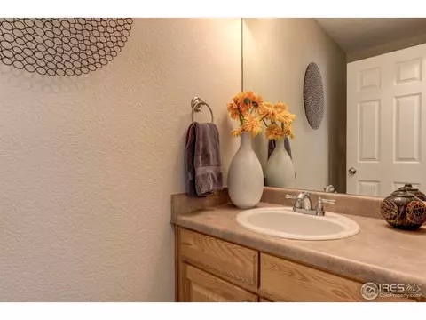 1753 E 164th Pl, Thornton, CO 80602 photo 32