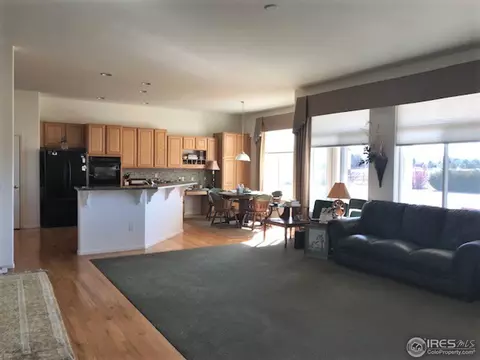 4393 Haystack Dr, Windsor, CO 80550 photo 8