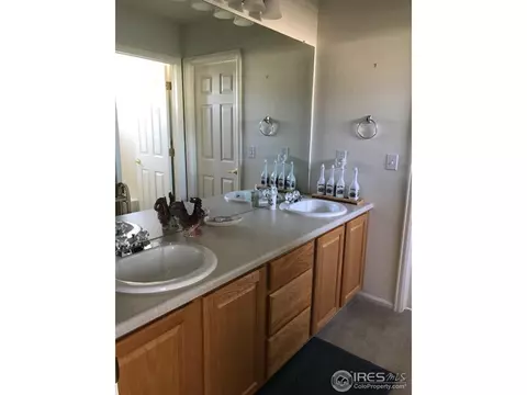 4393 Haystack Dr, Windsor, CO 80550 photo 12