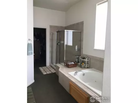 4393 Haystack Dr, Windsor, CO 80550 photo 13