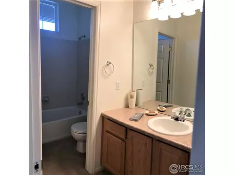 4393 Haystack Dr, Windsor, CO 80550 photo 18