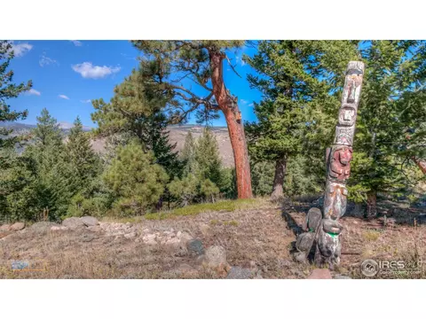 605 Left Fork Rd, Boulder, CO 80302 photo 24