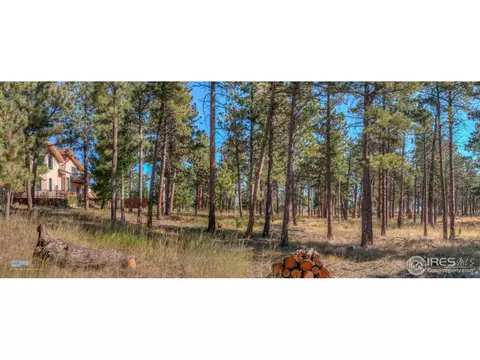 605 Left Fork Rd, Boulder, CO 80302 photo 32