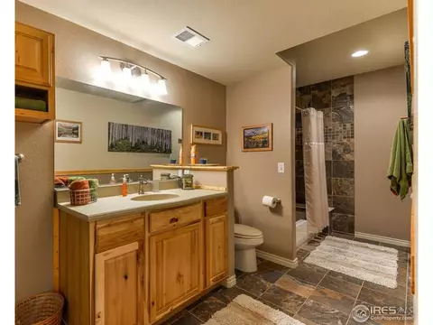 198 Kitty Hawk Ct, Windsor, CO 80550 photo 26