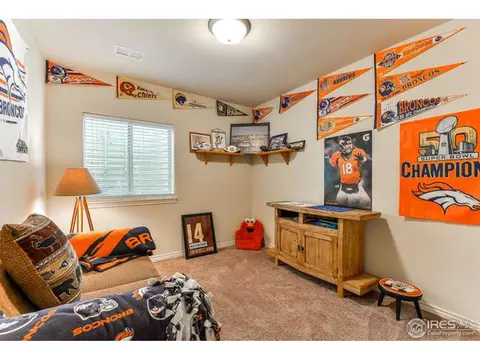 198 Kitty Hawk Ct, Windsor, CO 80550 photo 30