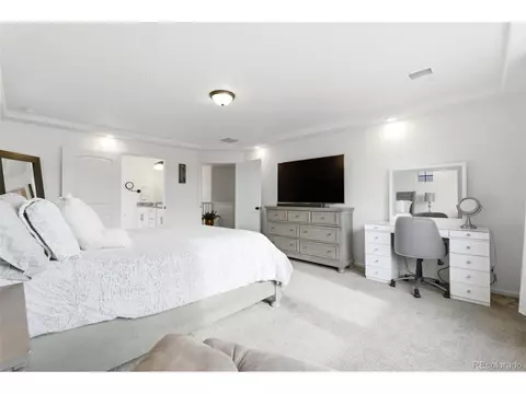 20800 E Beekman Pl, Denver, CO 80249 photo 21