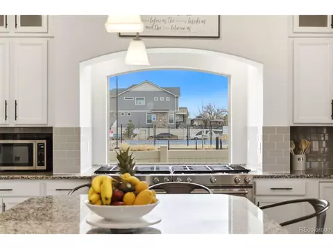 20800 E Beekman Pl, Denver, CO 80249 photo 15