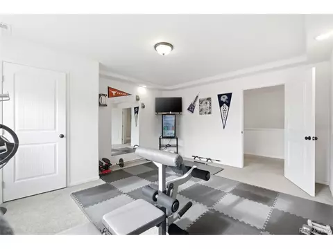 20800 E Beekman Pl, Denver, CO 80249 photo 26