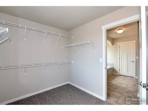 7114 Silver Ct, Timnath, CO 80547 photo 15