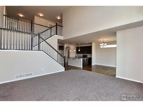 7114 Silver Ct, Timnath, CO 80547 photo 6