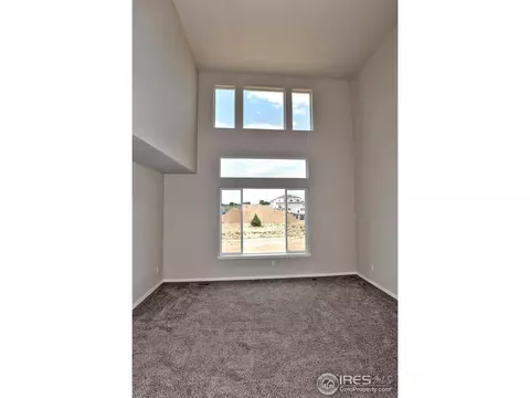 7114 Silver Ct, Timnath, CO 80547 photo 9