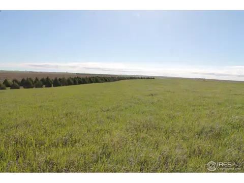 15034 County Road 71, Fleming, CO 80728 photo 6
