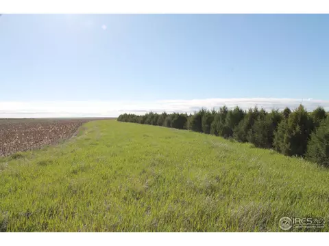 15034 County Road 71, Fleming, CO 80728 photo 4