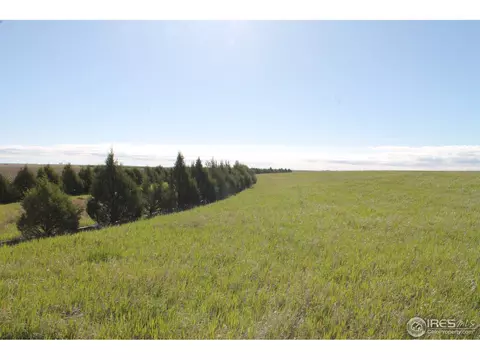 15034 County Road 71, Fleming, CO 80728 photo 5
