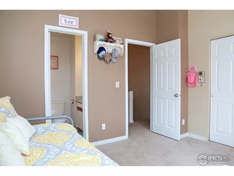 307 Turner Ave, Berthoud, CO 80513 photo 17