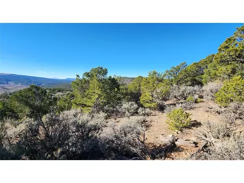 7468 Spring Rd, Fort Garland, CO 81133