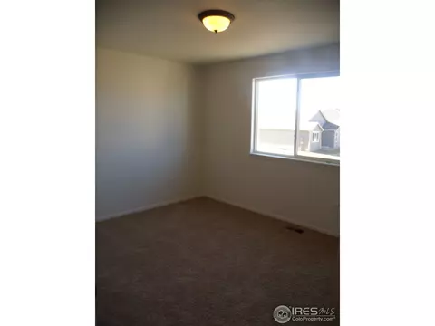 336 Mt Bross Ave, Severance, CO 80550 photo 18