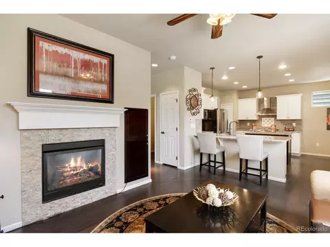 21914 E Stroll Ave, Parker, CO 80138 photo 14