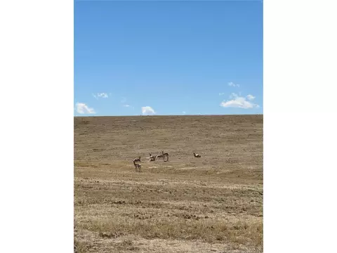 Rolling Vista St, Elizabeth, CO 80107