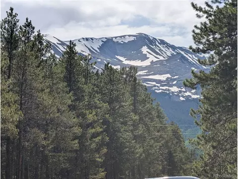 495 Birch Dr, Twin Lakes, CO 81251