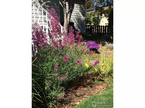 5682 Euclid Pl, Boulder, CO 80303 photo 30