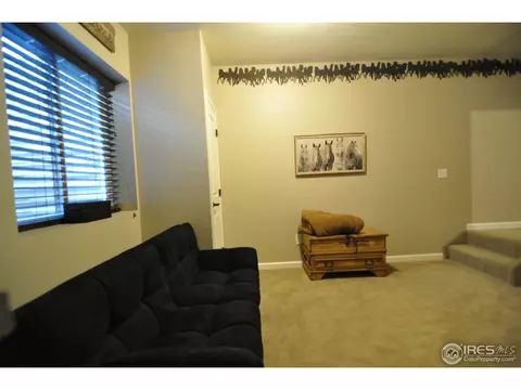 10431 Bluegrass St, Firestone, CO 80504 photo 23