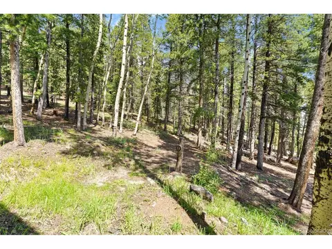10807 Timothys Dr, Conifer, CO 80433 photo 37