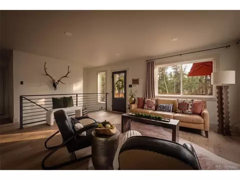Living - 33691 Nova Rd, Pine, CO 80470 photo 2 of 5
