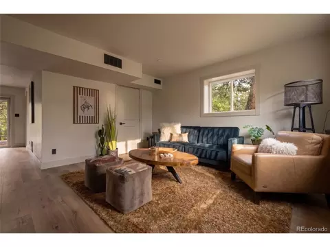 Living - 33691 Nova Rd, Pine, CO 80470 photo 5 of 5