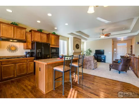 5840 Quarry St, Timnath, CO 80547 photo 11