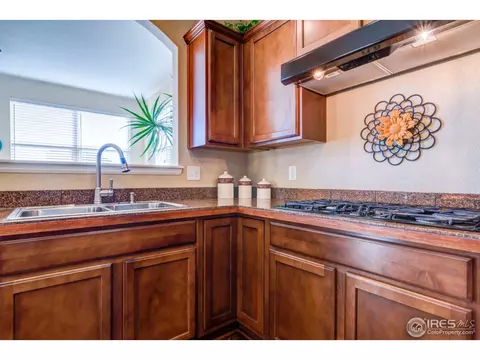 5840 Quarry St, Timnath, CO 80547 photo 12