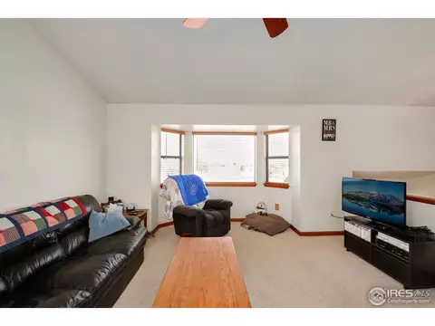 892 Midland St, Brighton, CO 80601 photo 34