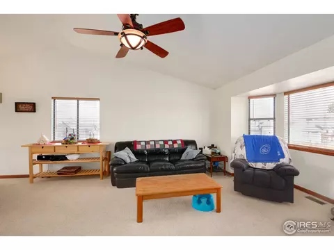 892 Midland St, Brighton, CO 80601 photo 33