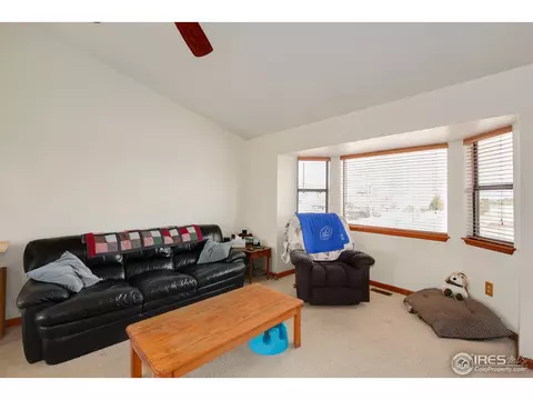 892 Midland St, Brighton, CO 80601 photo 32