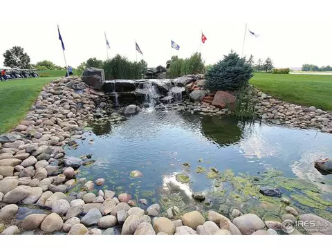2168 Longfin Dr, Windsor, CO 80550 photo 16