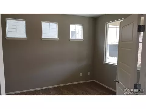 2168 Longfin Dr, Windsor, CO 80550 photo 7