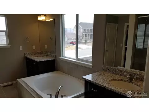2168 Longfin Dr, Windsor, CO 80550 photo 10