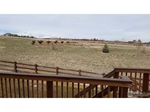 2168 Longfin Dr, Windsor, CO 80550 photo 20