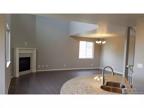 2168 Longfin Dr, Windsor, CO 80550 photo 5