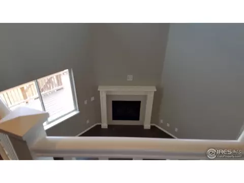 2168 Longfin Dr, Windsor, CO 80550 photo 9