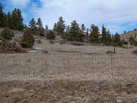795 Eiger Rd, Livermore, CO 80536 photo 8