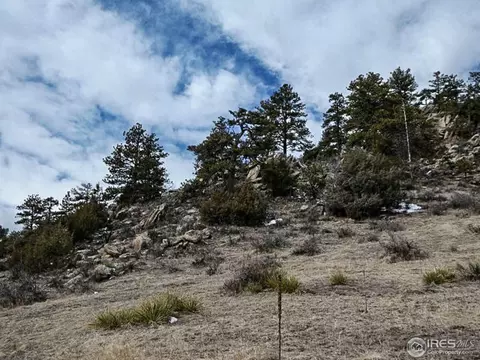 795 Eiger Rd, Livermore, CO 80536 photo 18