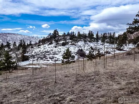 795 Eiger Rd, Livermore, CO 80536 photo 13