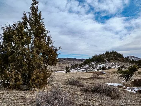 795 Eiger Rd, Livermore, CO 80536 photo 4