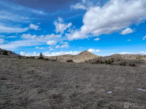 795 Eiger Rd, Livermore, CO 80536 photo 10